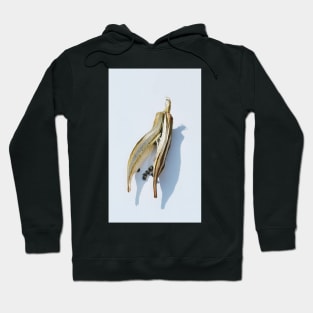 Dried Okra Pod Hoodie